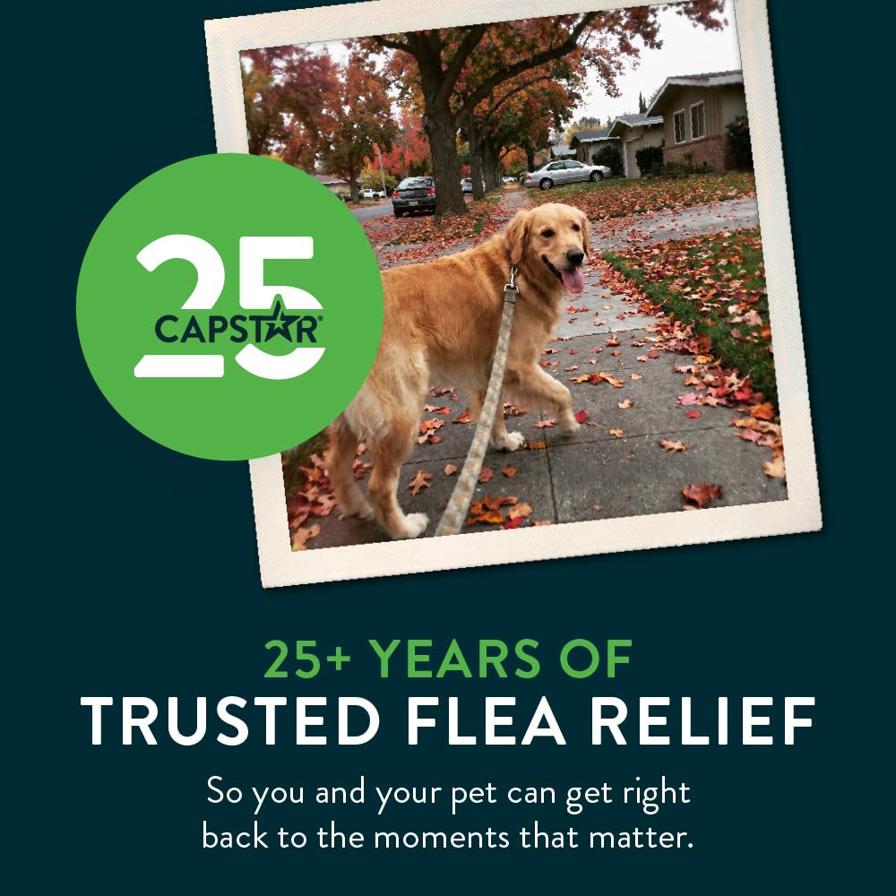 Capstar Oral Flea Tablets Dogs 25+ lbs, Nitenpyram, 6-Dose