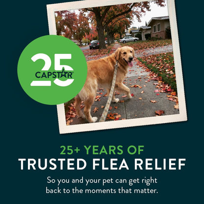 Capstar Oral Flea Tablets Dogs 25+ lbs, Nitenpyram, 6-Dose