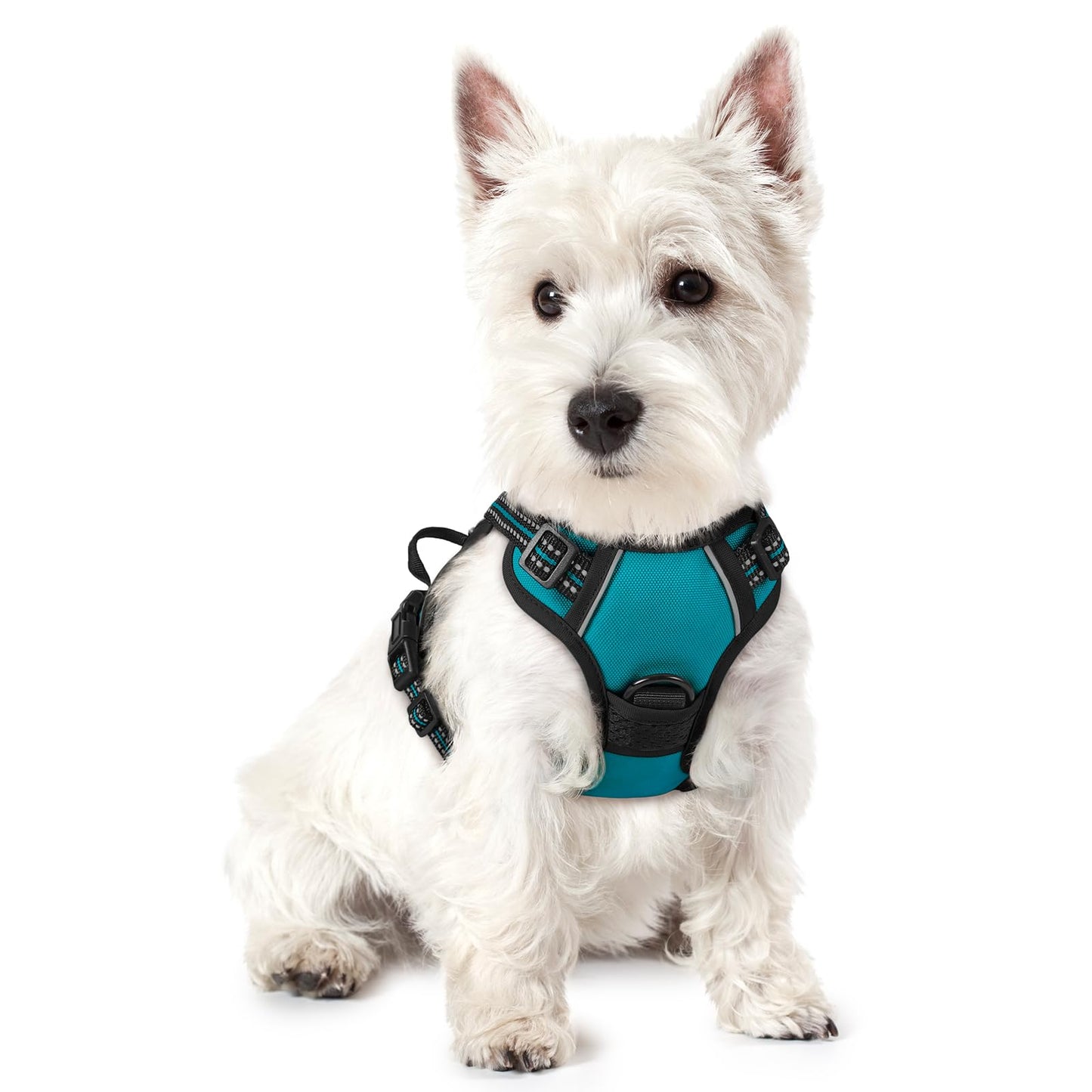 rabbitgoo Dog Harness, No Pull for Large Dogs with 2 Leash Clips, Pet Vest