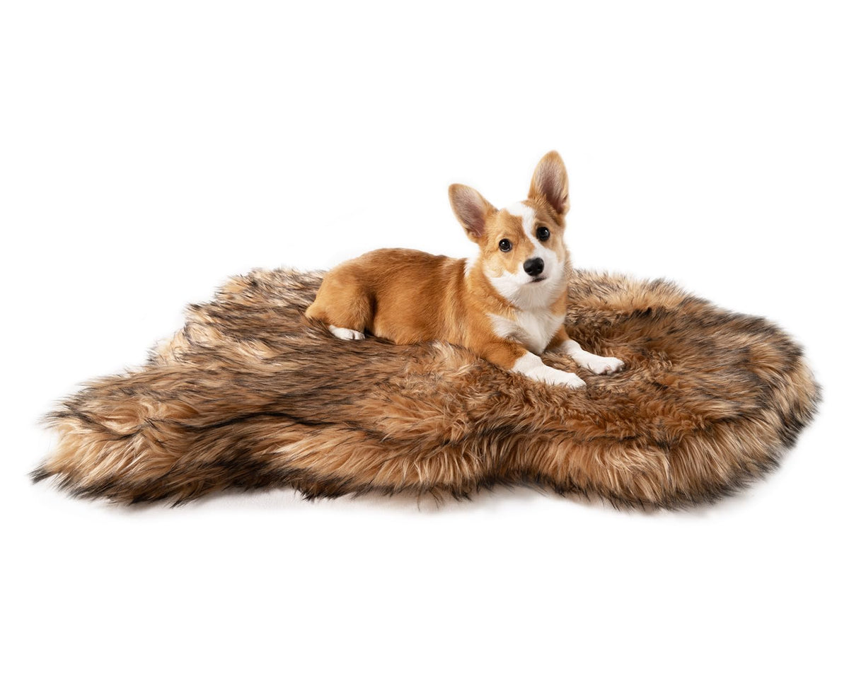 PAW BRANDS PupRug Orthopedic Memory Foam Dog Bed, White/Brown, 50x30