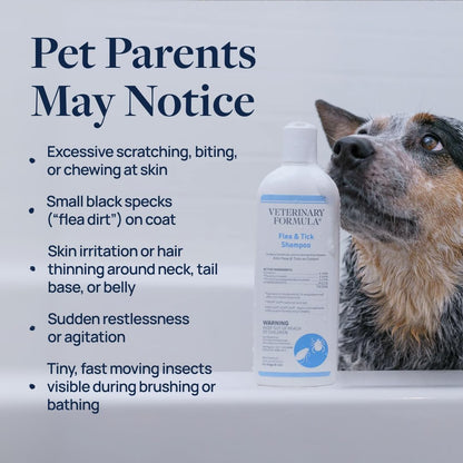 Veterinary Formula Flea and Tick Shampoo for Dogs and Cats, 16 oz