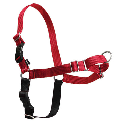 PetSafe Easy Walk Harness, No Pull Dog Harness, Raspberry, Medium/Large
