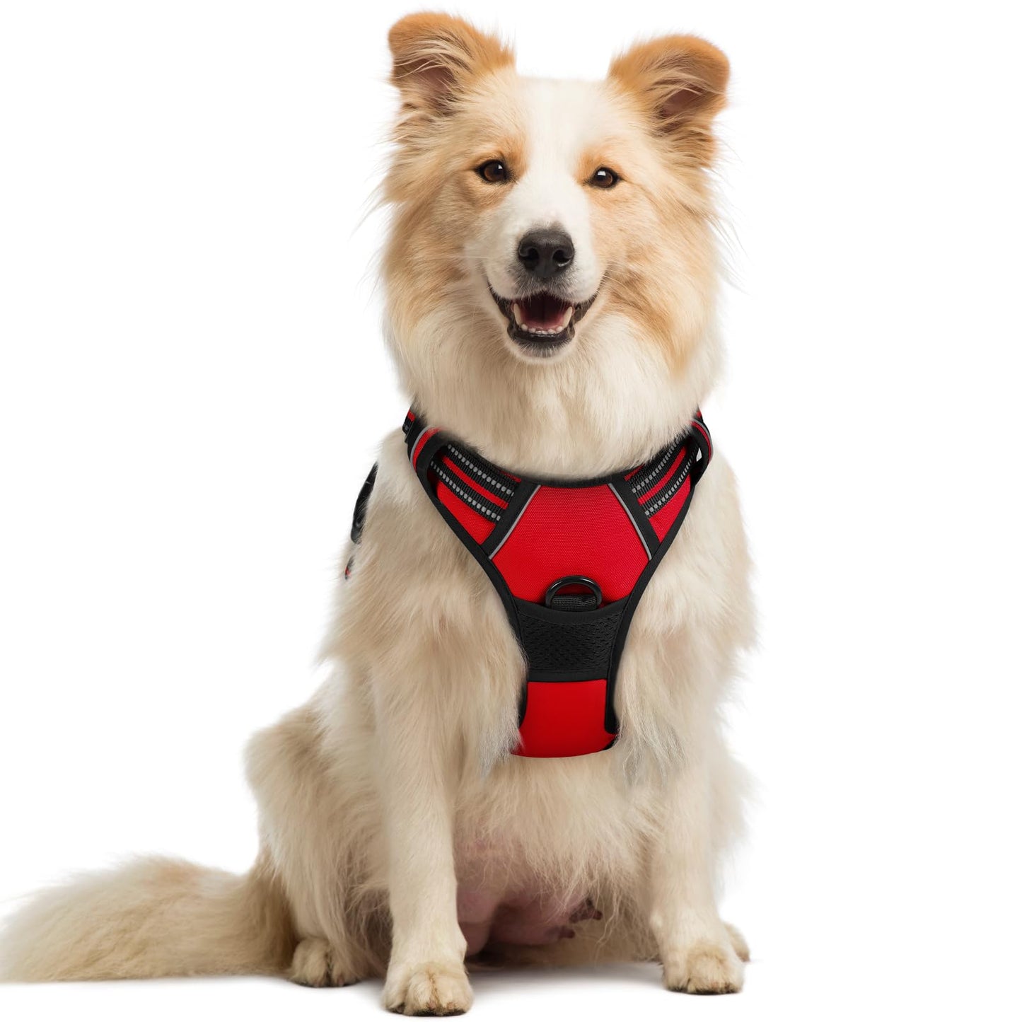rabbitgoo Dog Harness, No Pull for Large Dogs with 2 Leash Clips, Pet Vest