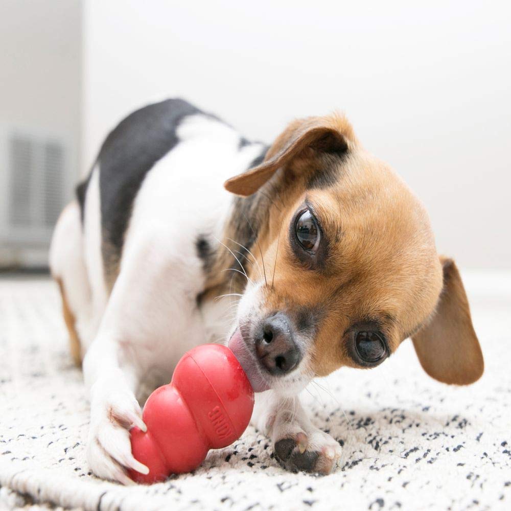 KONG Classic Stuffable Dog Toy, Natural Rubber Chew, for Medium Dogs