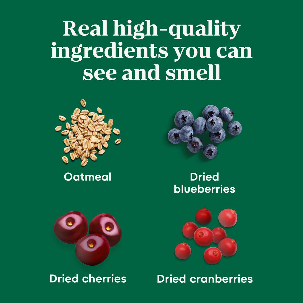 Nutro Crunchy Dog Treats with Real Mixed Berries, 16 oz