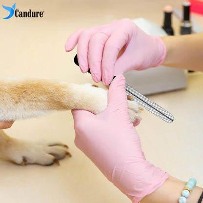 Candure Cat Nail Clippers for Indoor Cats, Rabbits, Hamsters, Birds with Precise Angled Edges to Ensure Easy & Safe Trimming Stainless Steel Cat Nail Trimmer for At-Home Cat Grooming