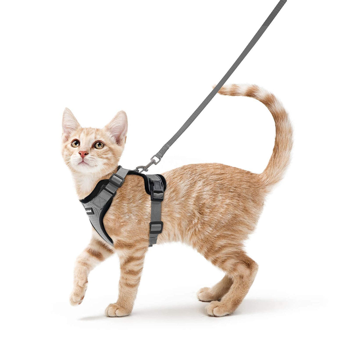 rabbitgoo Cat Harness and Leash Set, Escape Proof Vest, Emerald