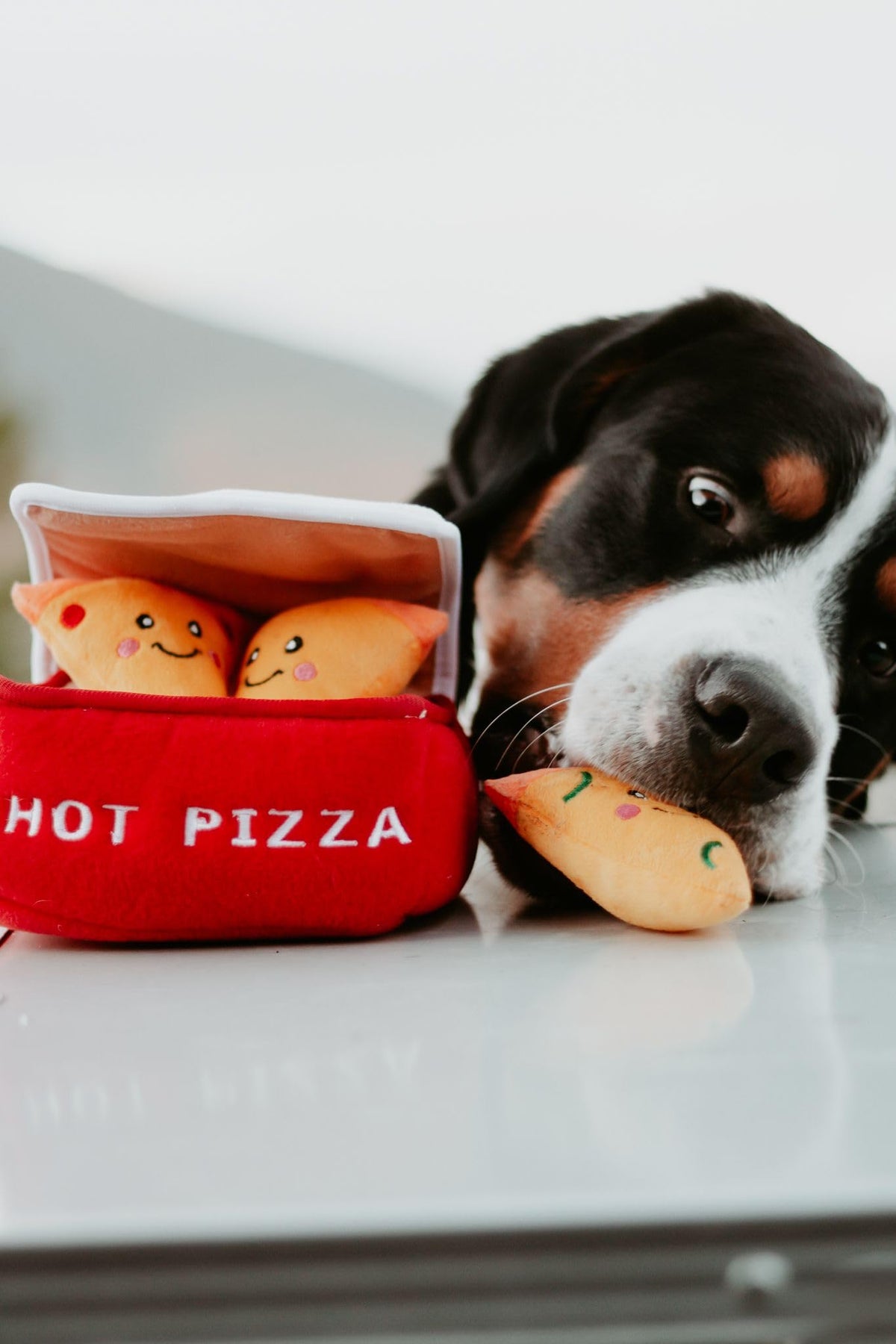 ZippyPaws Burrow Hide & Seek Plush Puzzles - Milk and Cookies