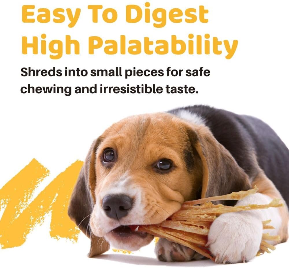 iPaw Turkey Tendon for Dogs Value Pack, All Natural Human Grade Puppy Chew