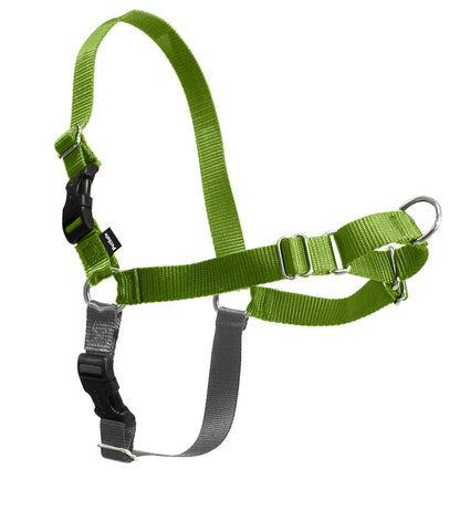 PetSafe Easy Walk Harness, No Pull Dog Harness, Raspberry, Medium/Large