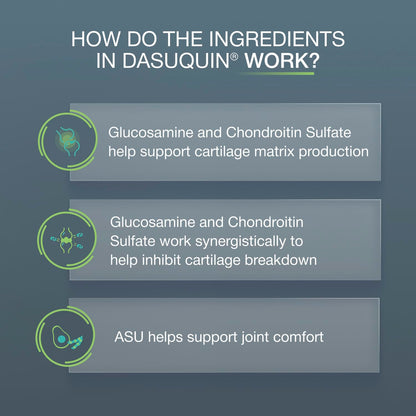 Nutramax Dasuquin MSM Joint Supplement for Large Dogs, Soft Chews, 84ct