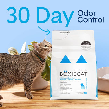 Boxie Premium Scented Clumping Cat Litter 30+ Day Odor Control 40 lb