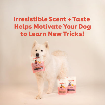Pupford Soft & Chewy Training Treats for Dogs & Puppies (Chicken, 10 oz, 2 Pack)