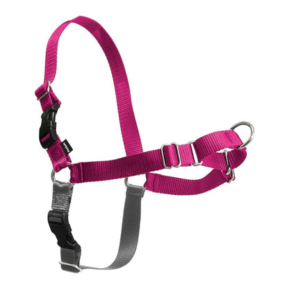 PetSafe Easy Walk Harness, No Pull Dog Harness, Raspberry, Medium/Large