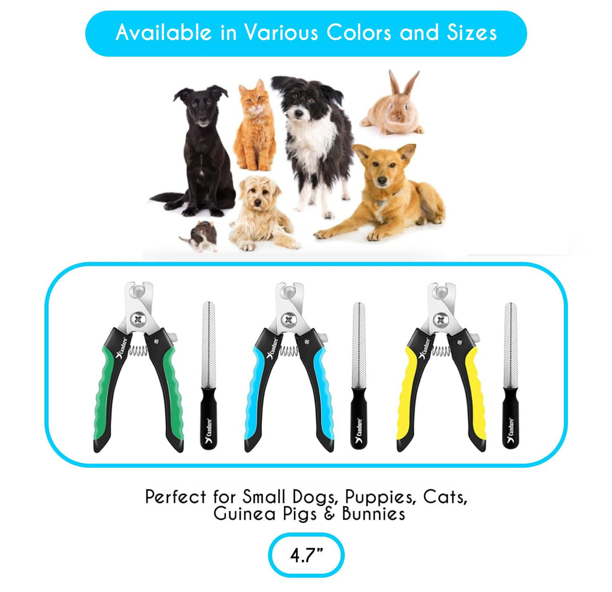 Candure Cat Nail Clippers for Indoor Cats, Rabbits, Hamsters, Birds with Precise Angled Edges to Ensure Easy & Safe Trimming Stainless Steel Cat Nail Trimmer for At-Home Cat Grooming