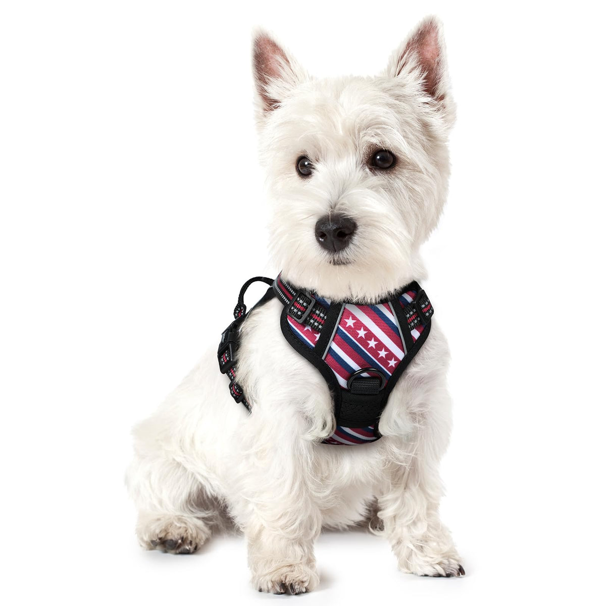 rabbitgoo Dog Harness, No Pull for Large Dogs with 2 Leash Clips, Pet Vest