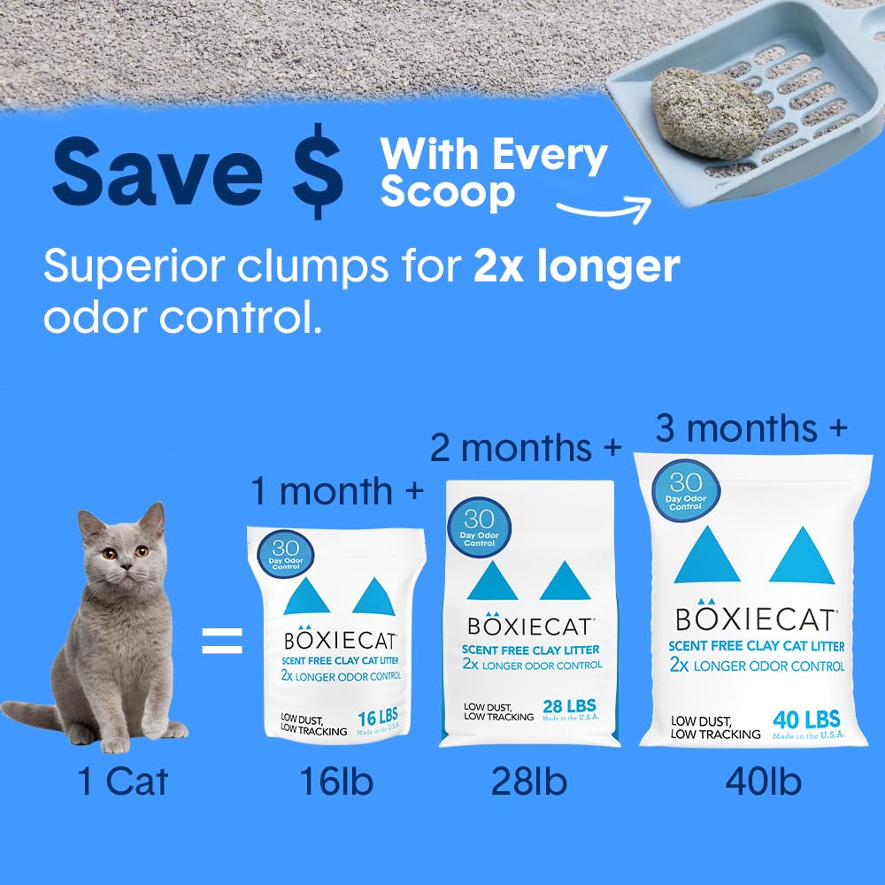 Boxie Premium Scented Clumping Cat Litter 30+ Day Odor Control 40 lb