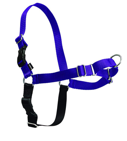 PetSafe Easy Walk Harness, No Pull Dog Harness, Raspberry, Medium/Large