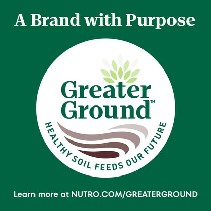 Nutro Crunchy Dog Treats with Real Peanut Butter, 10 oz