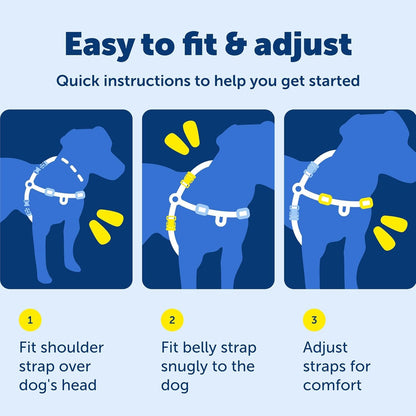 PetSafe Easy Walk Harness, No Pull Dog Harness, Raspberry, Medium/Large