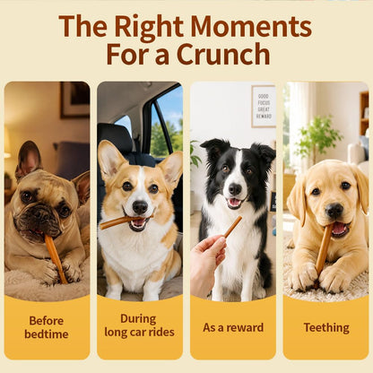 N-Bone Puppy Teething Sticks, Peanut Butter Flavor, Natural Puppy Chew Sticks & Teething Treats, SQF Certified, Made with Rice Flour for Easy Digestion, Calcium Enriched (3.7oz)