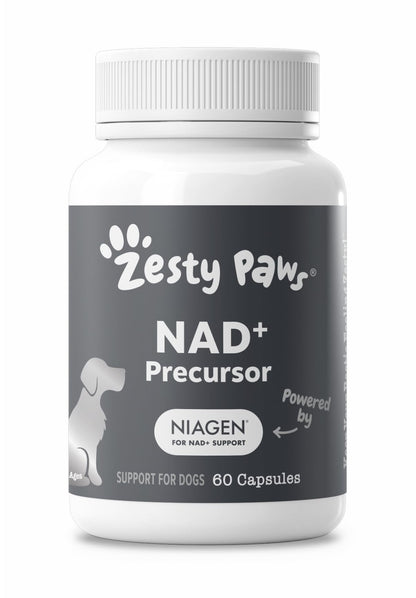Zesty Paws Dog Multivitamin + Glucosamine for Dogs - Peanut Butter, 90 Ct