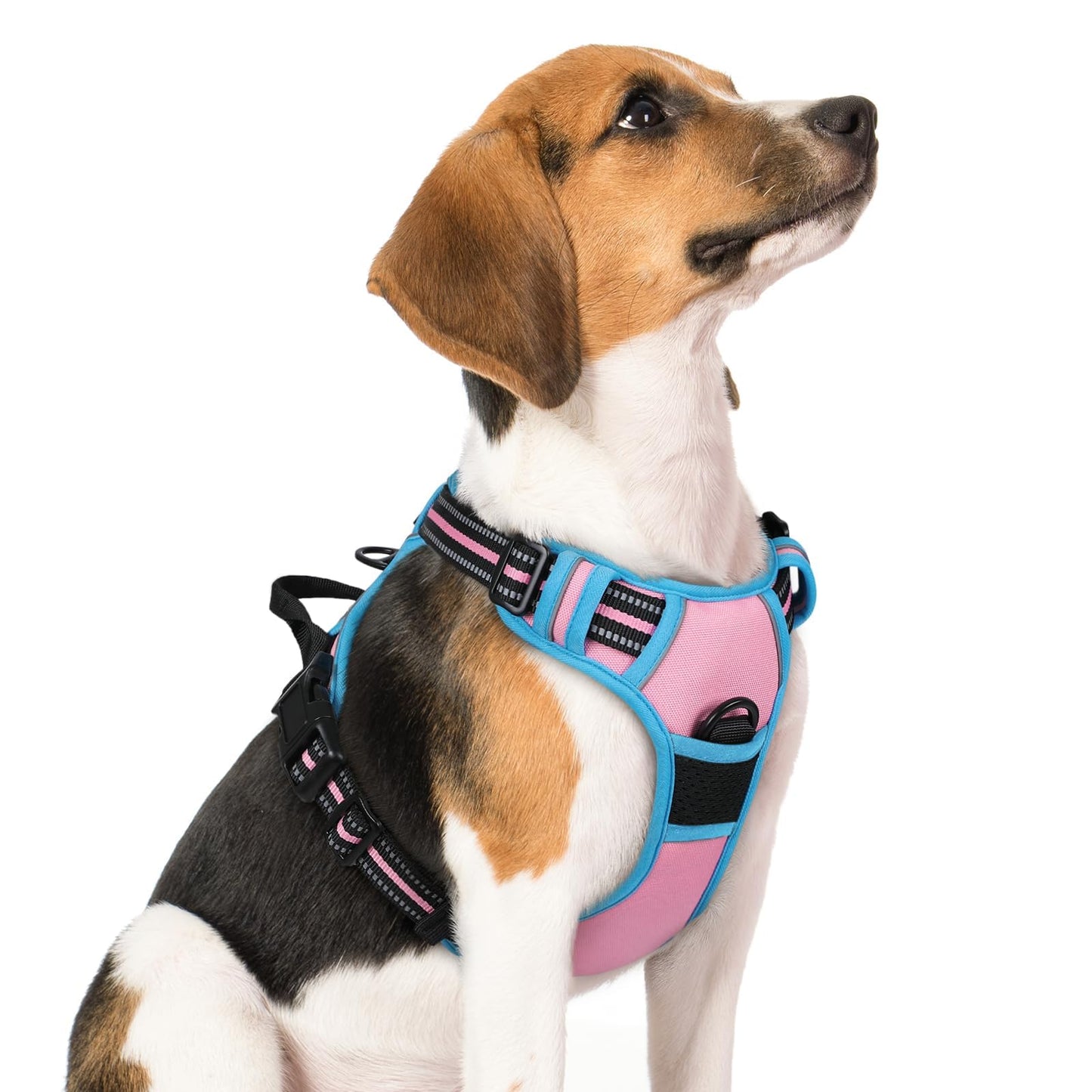 rabbitgoo Dog Harness, No Pull for Large Dogs with 2 Leash Clips, Pet Vest