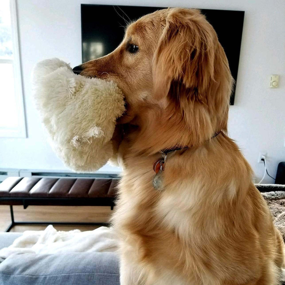Snuggle Puppy Heartbeat Toy, Calming Comfort, Medium Breeds - Biscuit