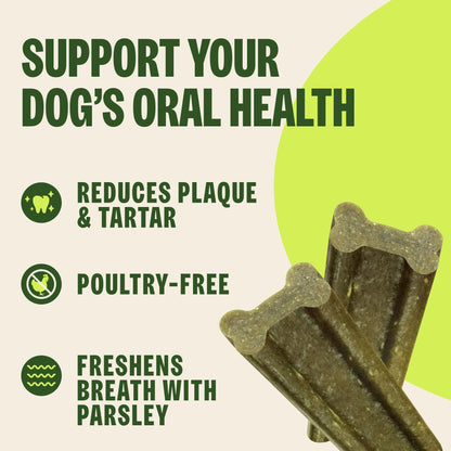 Wellness WHIMZEES Freshzees Natural Dog Dental Treat, Soft Chews, Freshens Breath, Extra-Small Size, 14.81 oz Bag, 56 Count