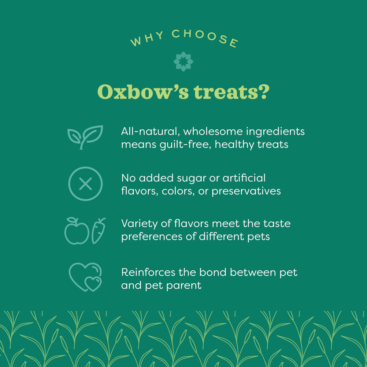 Oxbow Simple Rewards Guinea Pig & Rabbit Treats, Apple Banana, Baked, 3 oz