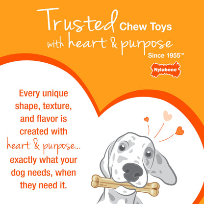 Nylabone New Puppy Starter Kit, Puppy Teething Toys, 3 Pack, Blue