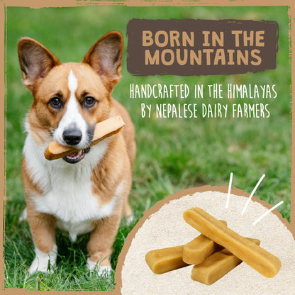 Mighty Paw Yak Chews, Long Lasting Hard Chew for Large Dogs, 4 Pack