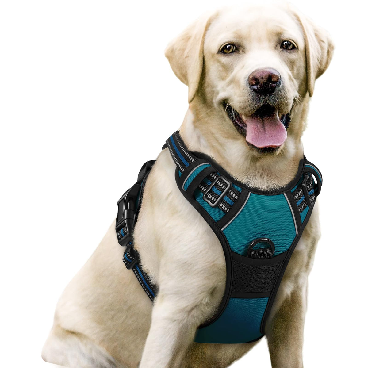rabbitgoo Dog Harness, No Pull for Large Dogs with 2 Leash Clips, Pet Vest