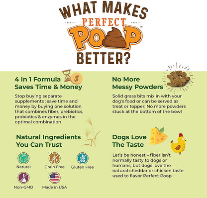 Bernie's Perfect Poop 4-in-1 Dog Digestion Supplement, Cheese, 12.8 oz