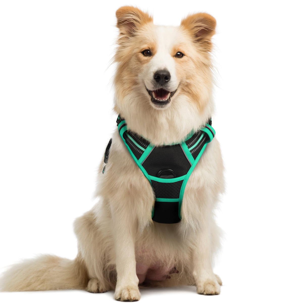 rabbitgoo Dog Harness, No Pull for Large Dogs with 2 Leash Clips, Pet Vest