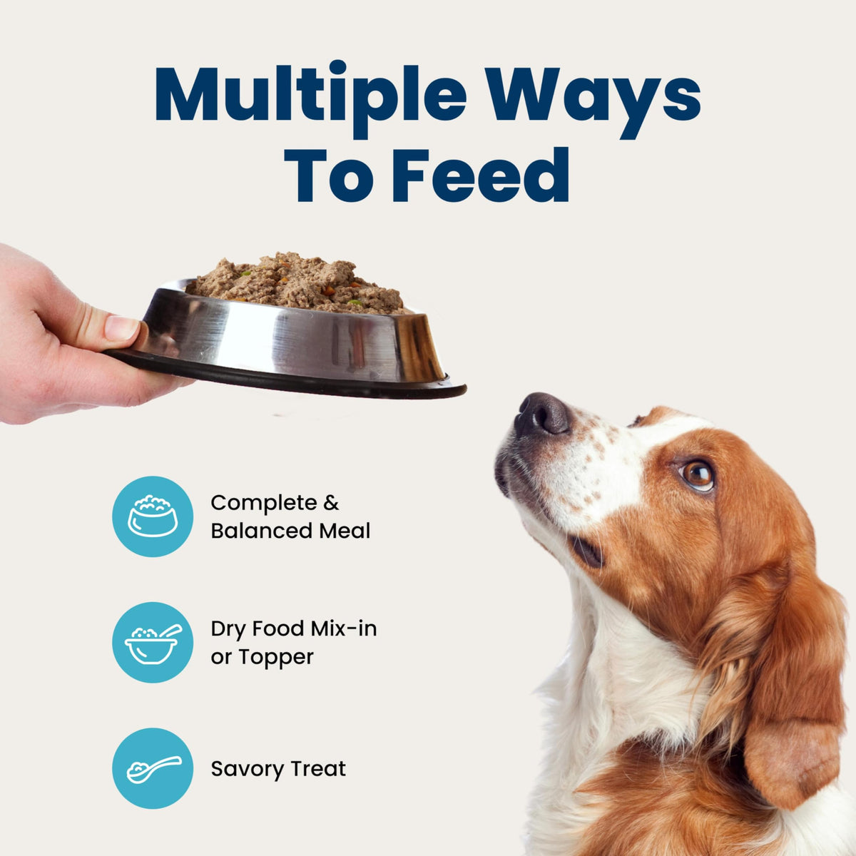 Blue Buffalo Homestyle Recipe Variety Pack Wet Dog Food, 12.5 oz, 6 ct