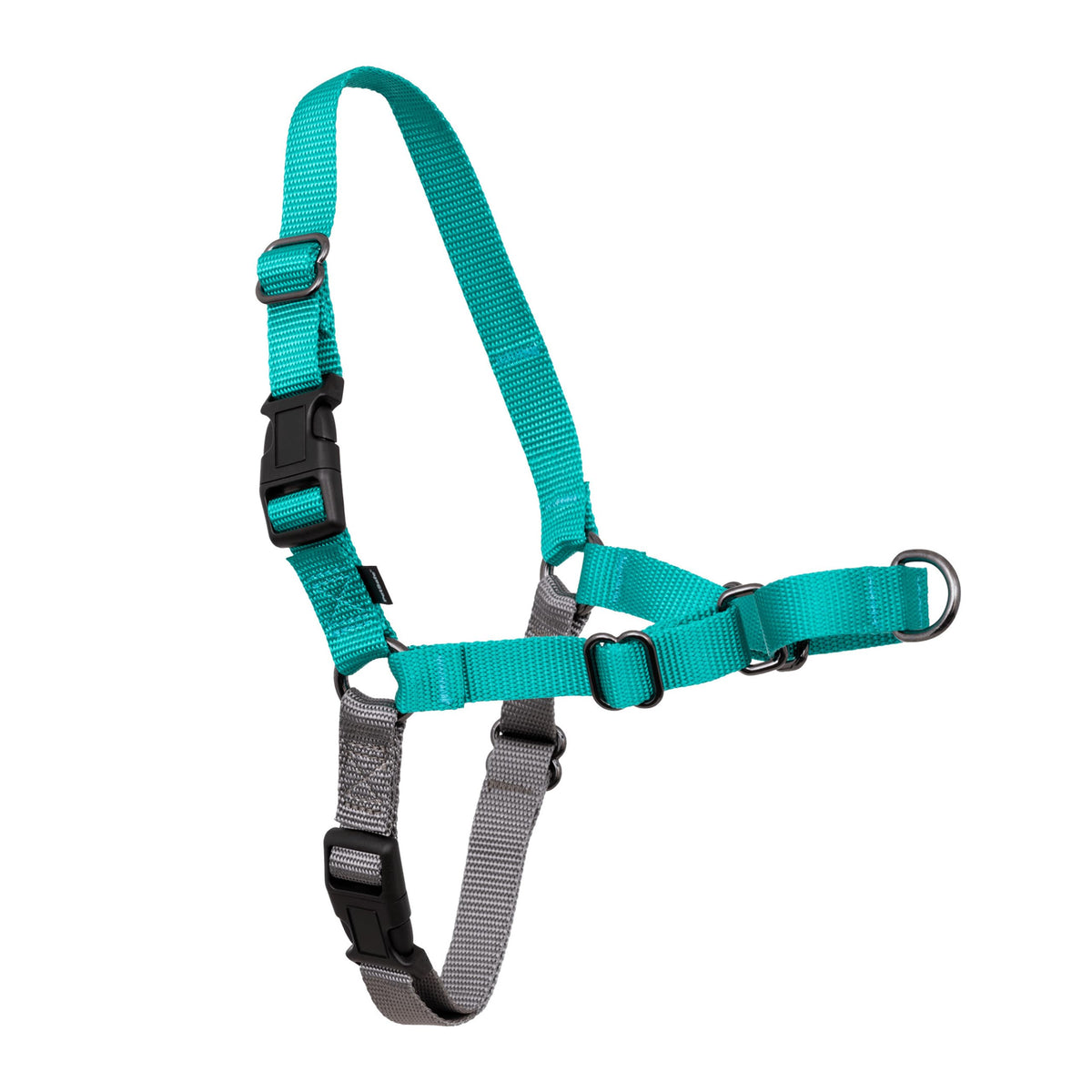 PetSafe Easy Walk Harness, No Pull Dog Harness, Raspberry, Medium/Large
