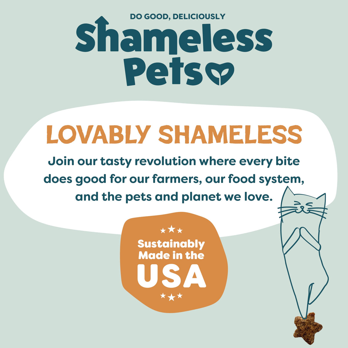 Shameless Pets Catnip N Chill Crunchy Cat Treats, 12 oz