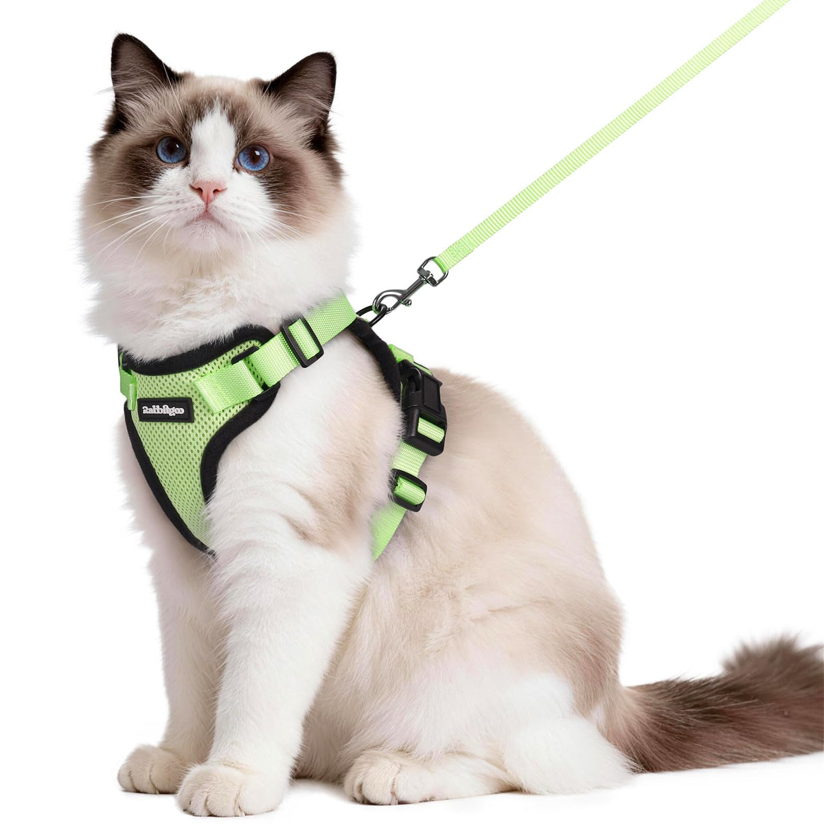 rabbitgoo Cat Harness and Leash Set, Escape Proof Vest, Emerald