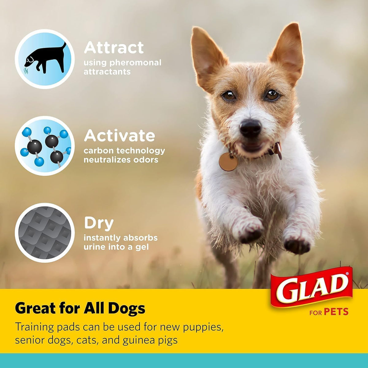 Glad for Pets Activated Carbon Disposable Dog Training Pads, 100 Count