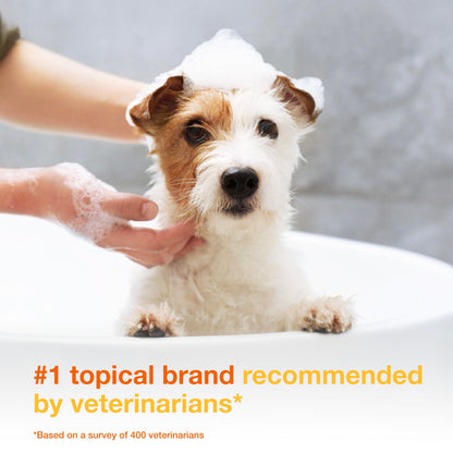 Douxo S3 PYO Medicated Dog Shampoo with 3% Chlorhexidine for Dogs – Antibacterial & Antiseptic Yeast Infection Treatment For Dogs & Cats, Clinically Proven, 6.7 fl oz