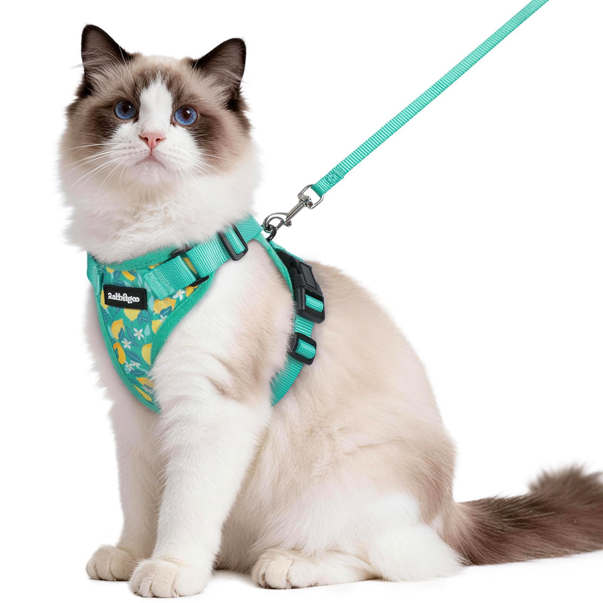rabbitgoo Cat Harness and Leash Set, Escape Proof Vest, Emerald