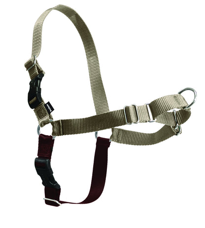 PetSafe Easy Walk Harness, No Pull Dog Harness, Raspberry, Medium/Large