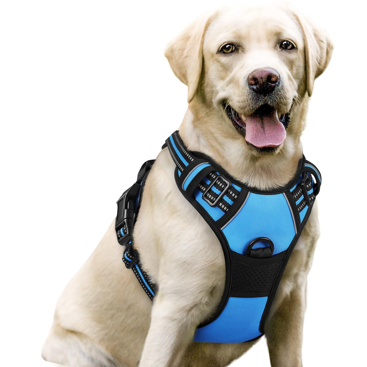 rabbitgoo Dog Harness, No Pull for Large Dogs with 2 Leash Clips, Pet Vest