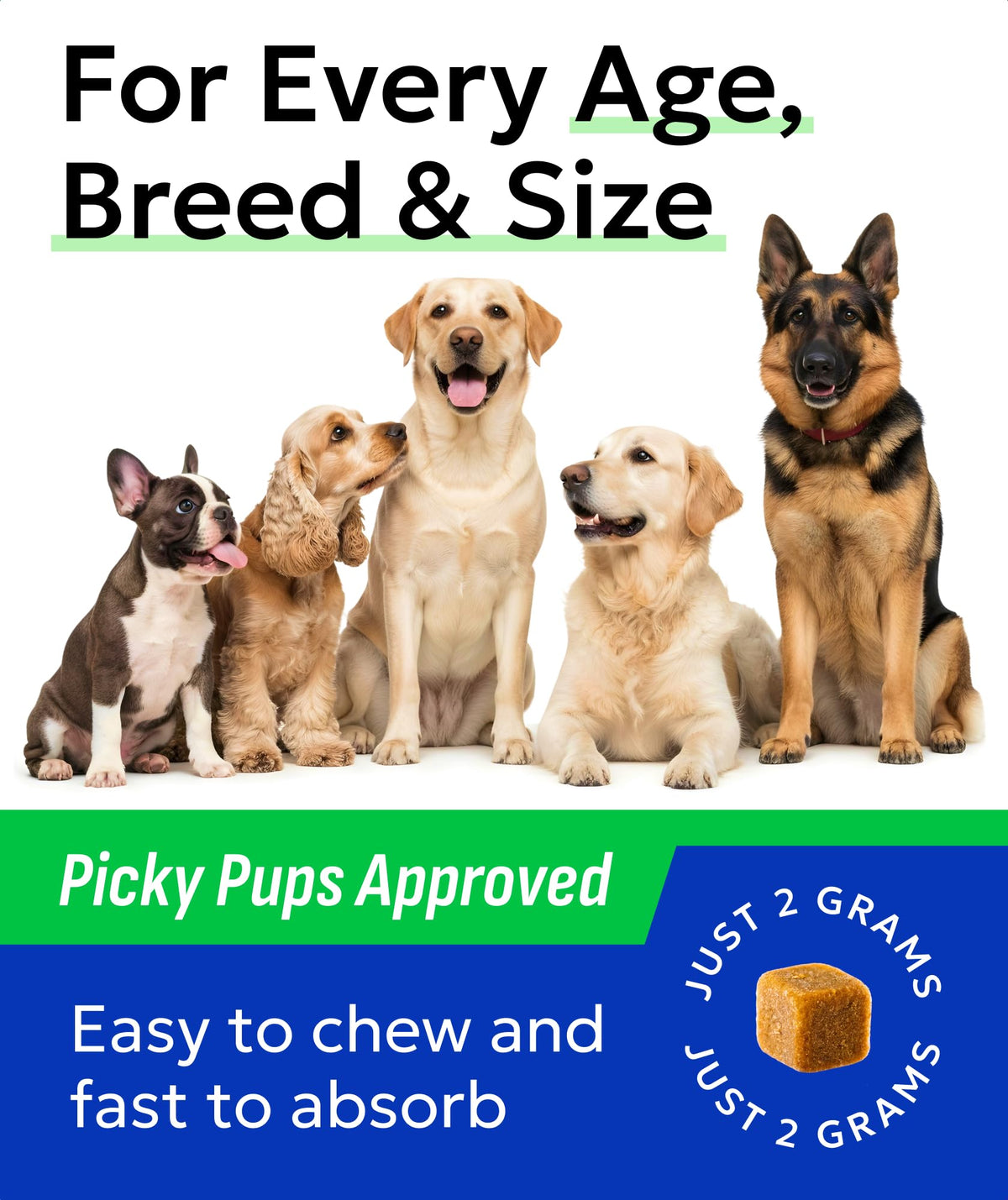 Omega 3 + Fish Oil for Dogs - Skin & Coat Support, Itch & Allergy Relief