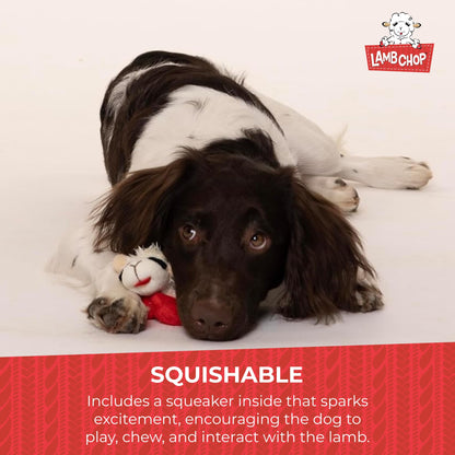 Multipet Lamb Chop Dog Plush Toy - Squeaky Toy for All Dogs - Extra Soft Plush - Stuffed Animal for Cuddling & Playing - Jumbo (24", Cream)