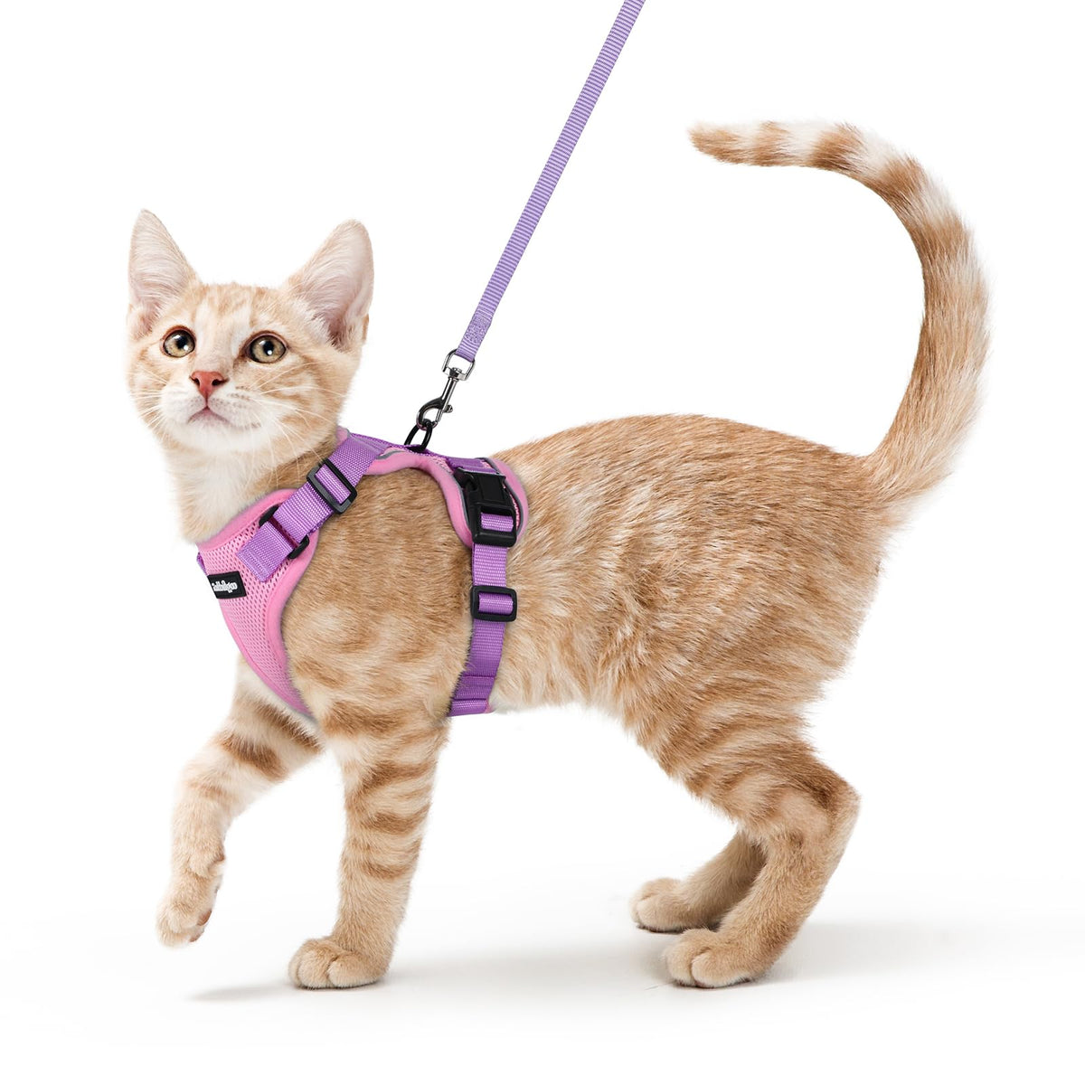 rabbitgoo Cat Harness and Leash Set, Escape Proof Vest, Emerald