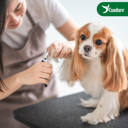 Candure Cat Nail Clippers for Indoor Cats, Rabbits, Hamsters, Birds with Precise Angled Edges to Ensure Easy & Safe Trimming Stainless Steel Cat Nail Trimmer for At-Home Cat Grooming