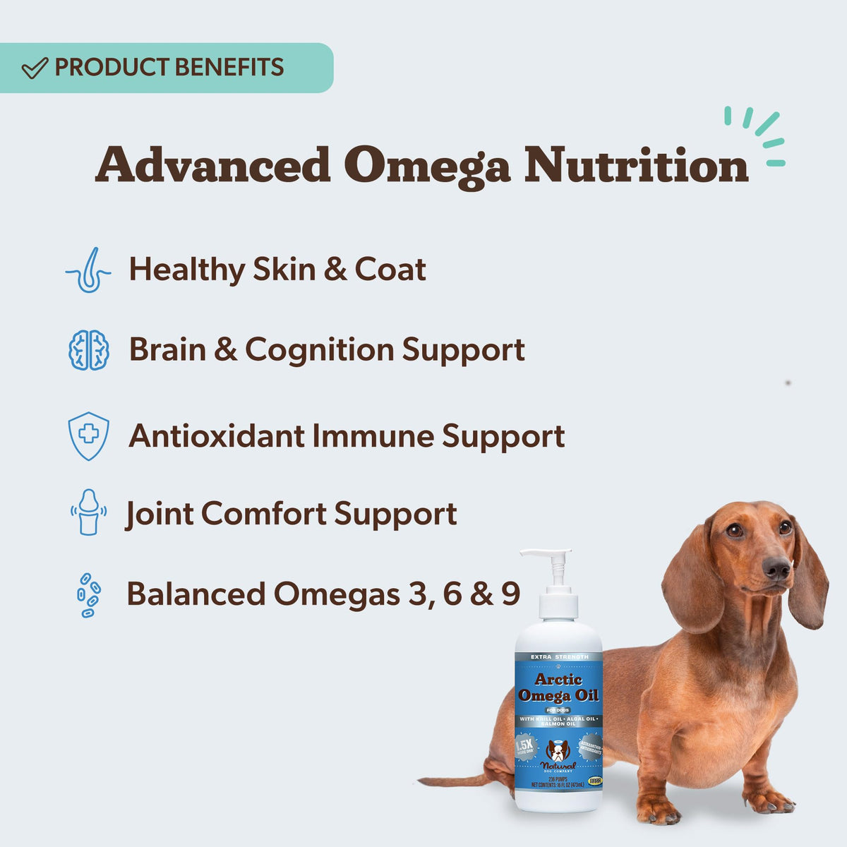 Natural Dog Company Wild Alaskan Salmon Oil for Dogs - 16 oz