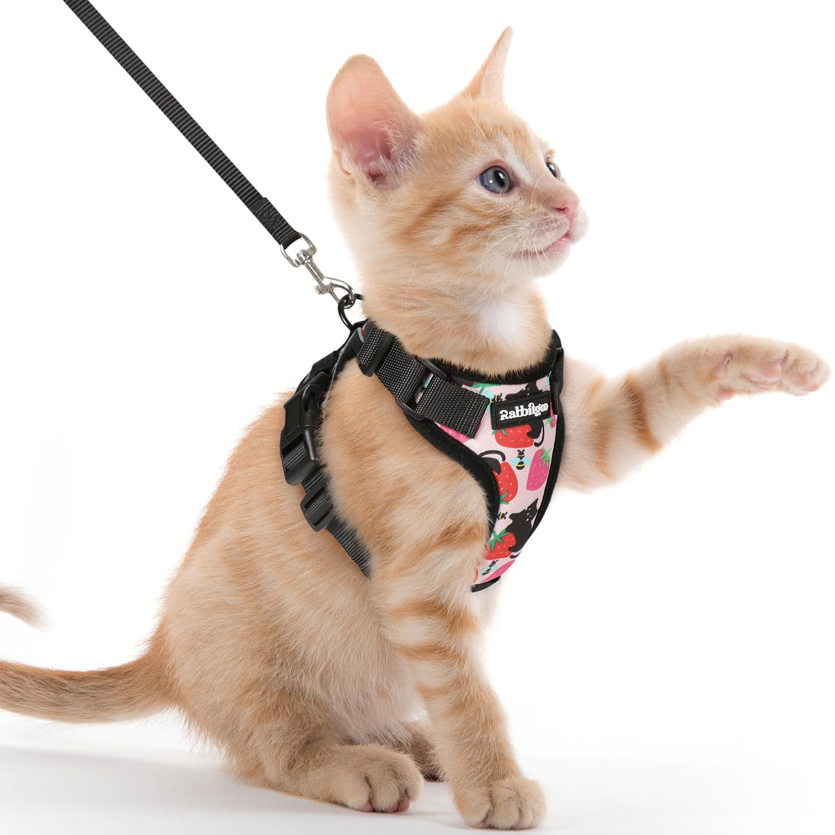 rabbitgoo Cat Harness and Leash Set, Escape Proof Vest, Emerald